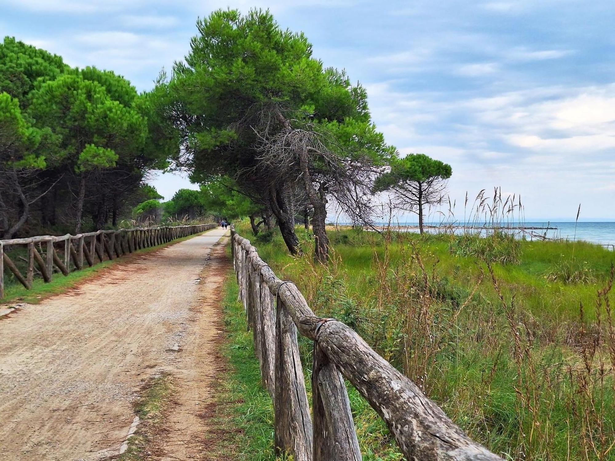 Adorable Cozy Flat For 4 Guests Next To The * Bibione
